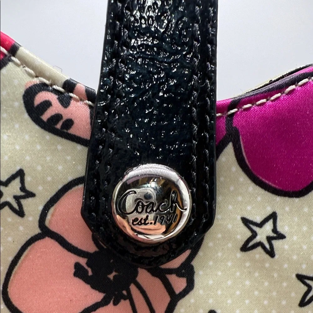Coach Multicolor Graphic Phone Holster